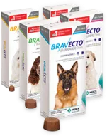 Bravecto Dog