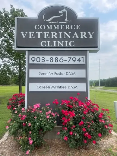 Commerce Veterinary Clinic