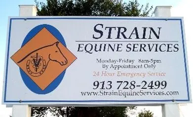 strain equine sign