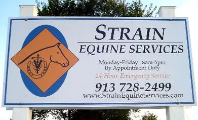 strain equine sign