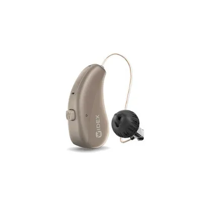 hearing aid