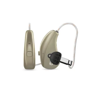 hearing aid