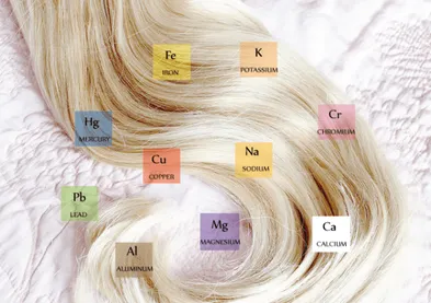 Elements in hair test
