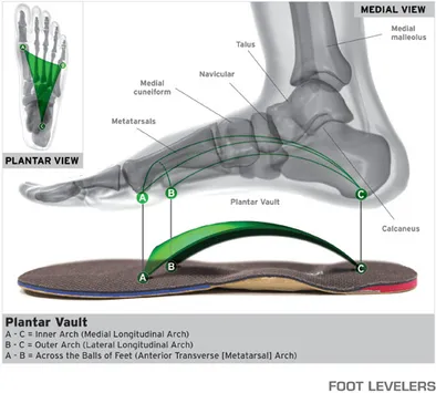 orthotics