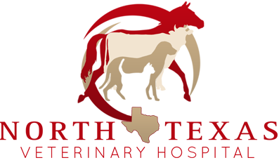 Veterinarian In Weatherford Tx North Texas Veterinary Hospital