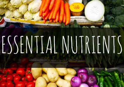 essential nutrients