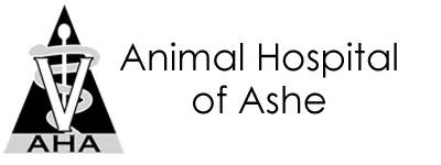 Animal Hospital of Ashe