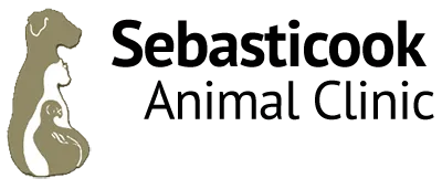 Sebasticook Animal Clinic