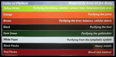 Ion Cleanse Chart