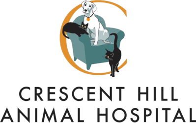 tower hill animal hospital
