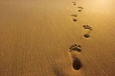 Footprints on sand