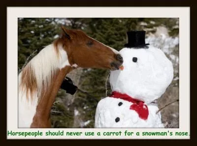 carrot-in-snowmans-nose