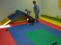 icn_doggiedaycare3.jpg