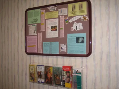 Educational Bulletin Board & Brochures