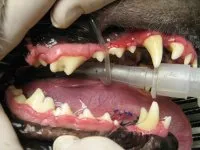 dental_003.jpg