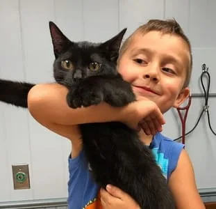 little boy with a black cat