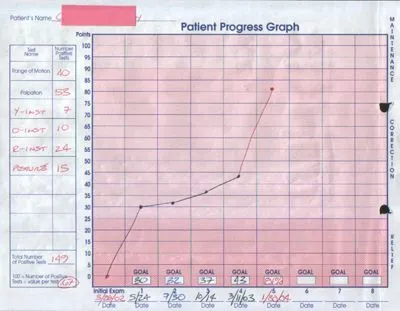 Thermographic_Progress_Graph_3.jpg