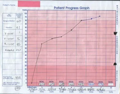 Thermographic_Progress_Graph_1.jpg