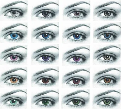 A Wide Variety Of Eye Collection, Eye Drawing, Eyes Clipart, Person PNG  Transparent Clipart Image and PSD File for Free Download