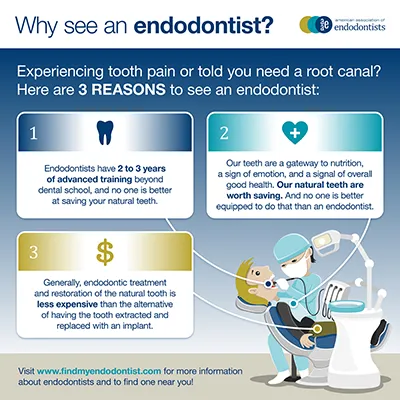 Hamden CT Endodontist Endodontics Endodontist