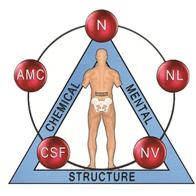 kinesiogy