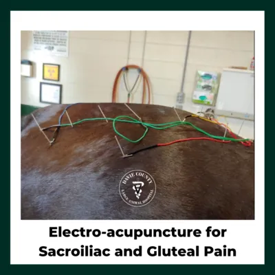 Electroacupuntureforglutealpain