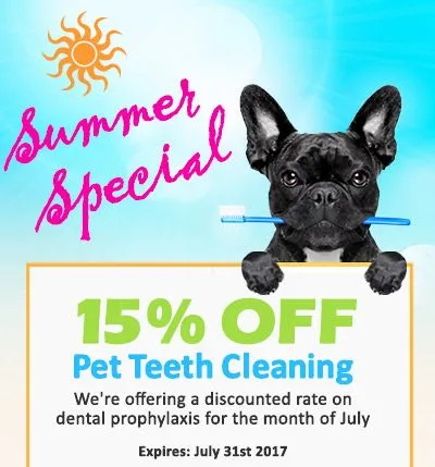 July Dental Special