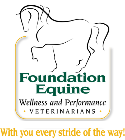 equine veterinarian logo