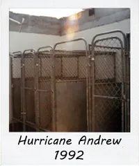 Hurricane Andrew 1992