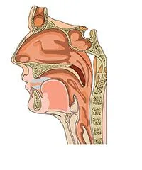 Balloon Sinuplasty Bend OR