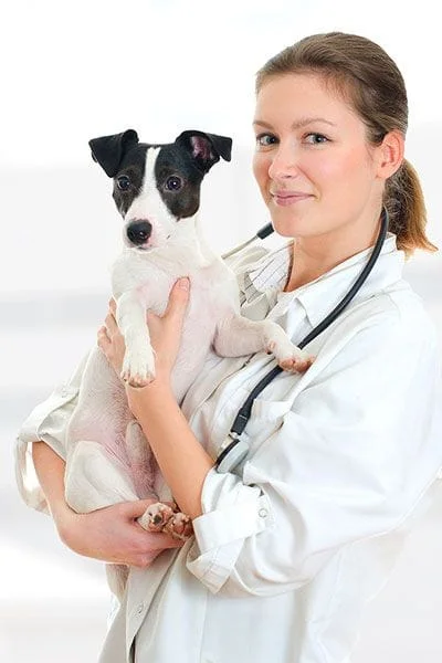 Newmarket Animal clinic