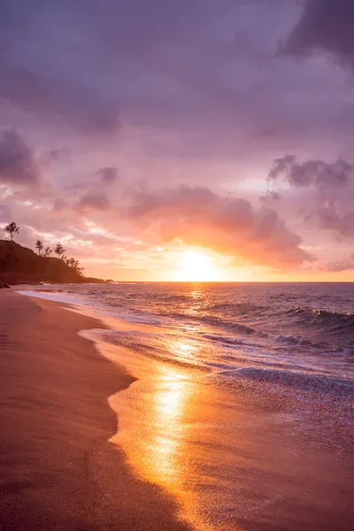 beach sunset