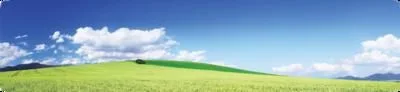 Open field and bright blue sky