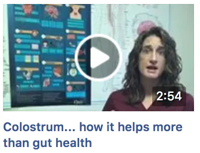 Colostrum for IBS