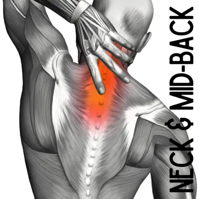 Neck & Mid Back Pain