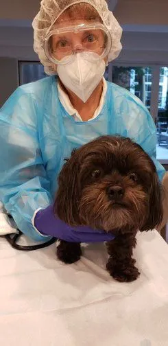 Dr. Amy Back At Work