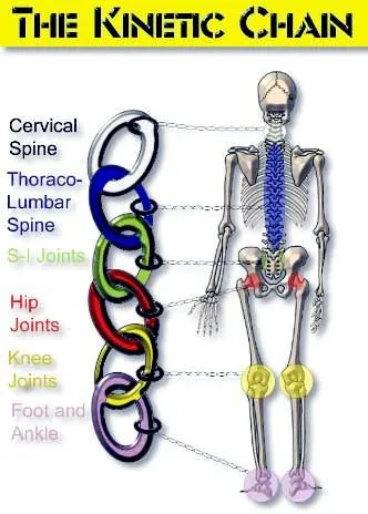 The Kinetic Chain