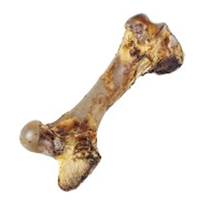 beef bone