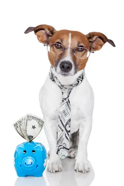 Dog with a piggy bank