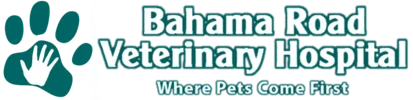 Bahama Road Veterinary Clinic