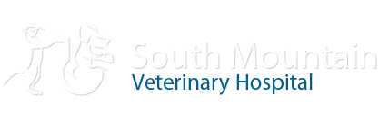 South Mountain Veterinary Hospital