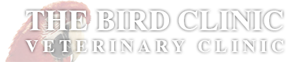 Orange, CA Bird Vet - The BIRD Clinic Veterinary Clinic - General Dentist