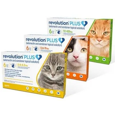 Revolution plus