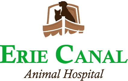 Erie Canal Animal Hospital