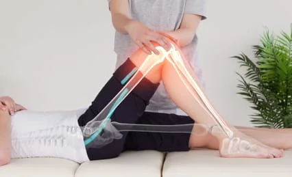 Illuminated spine and leg