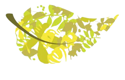 Hailey Chiropractic