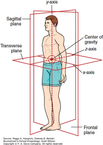 The Y-Strap Adjustment - Cascade Chiropractic & Wellness