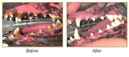 Before and After Dental