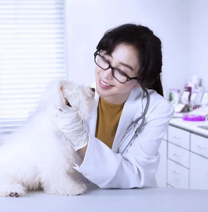 Pet Vaccinations