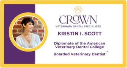 Kristin I. Scott Crown vet dental specialists